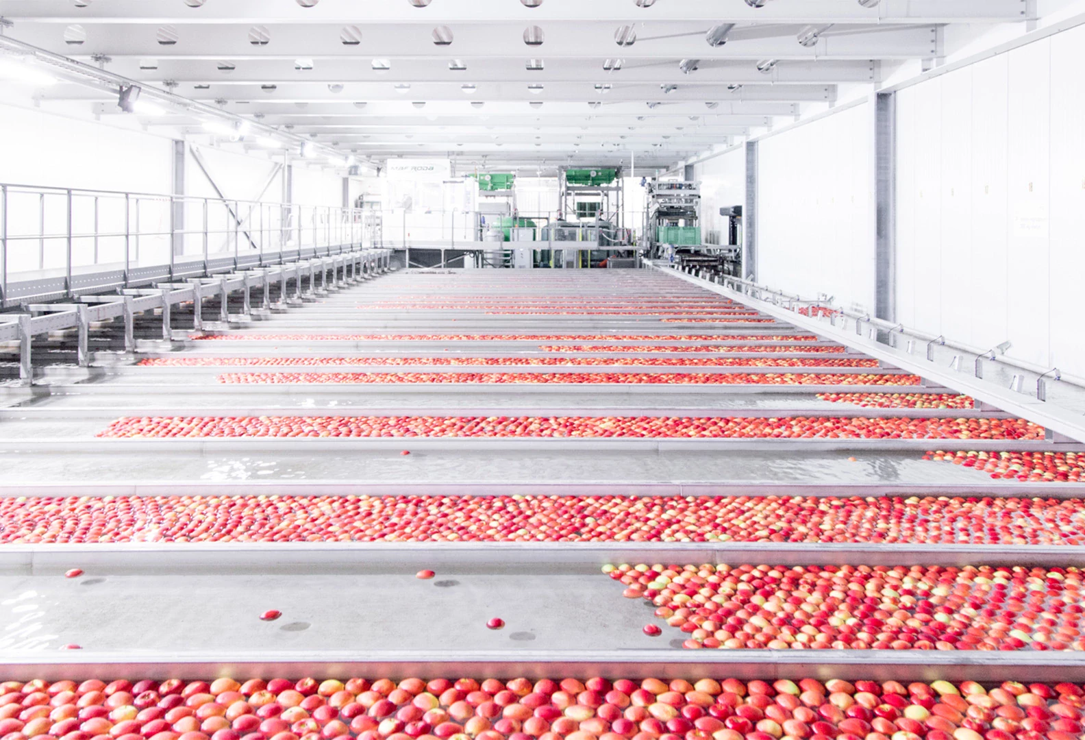 Immersion dans les coulisses de Léman Fruits